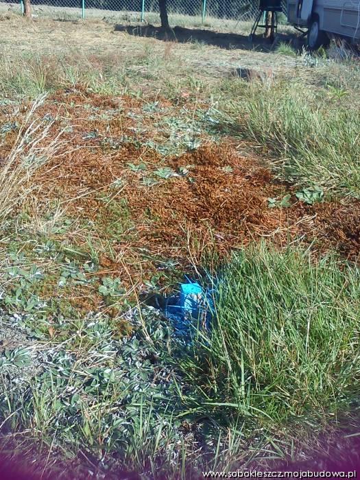 blog budowlany - mojabudowa.pl